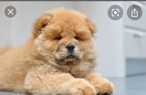 Meet your Posher, Nicholas